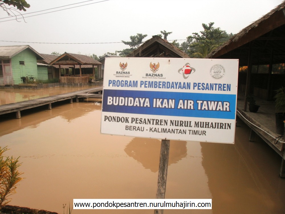 Liputan Metro TV-Panen Ikan Kerjasama Baznas dan PPNM 16 Oktober 2015 (3)
