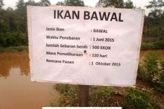 Liputan Metro TV-Panen Ikan Kerjasama Baznas dan PPNM 16 Oktober 2015 (11)