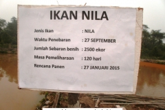 Liputan Metro TV-Panen Ikan Kerjasama Baznas dan PPNM 16 Oktober 2015 (14)