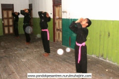 pencak silat SH Nurul Muhajirin (2)
