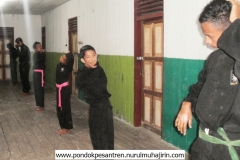 pencak silat SH Nurul Muhajirin (3)